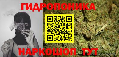 прущие грибы Нягань