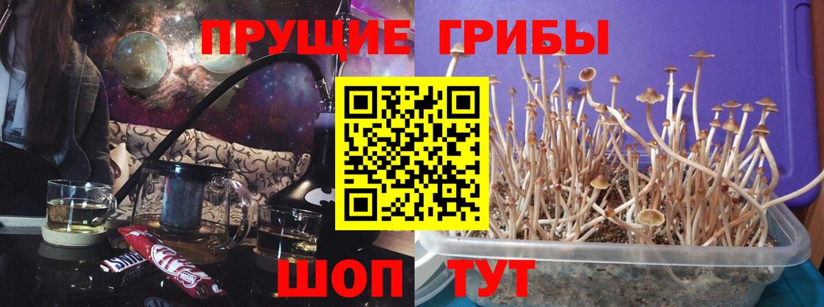 Симферополь  Галлюциногенные грибы Psilocybe  Вход с VPN  Галлюциногенные грибы Cubensis 